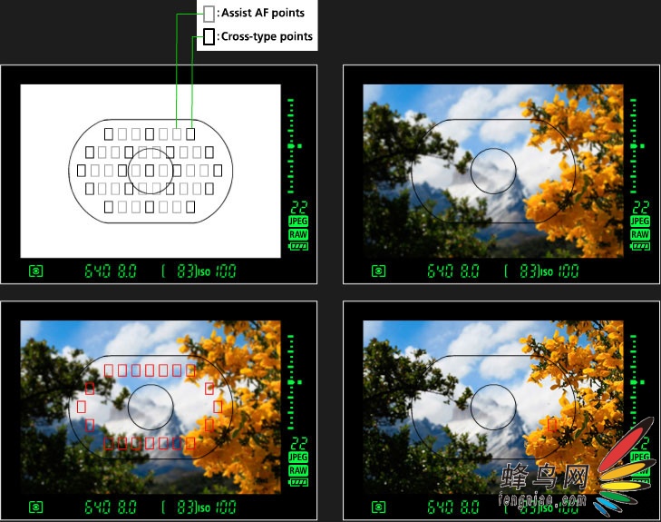 ������ʽ����EOS-1D Mark III ���뵥��ͼƬ����,ͼ4-ZOL�йش����ߵ�4��