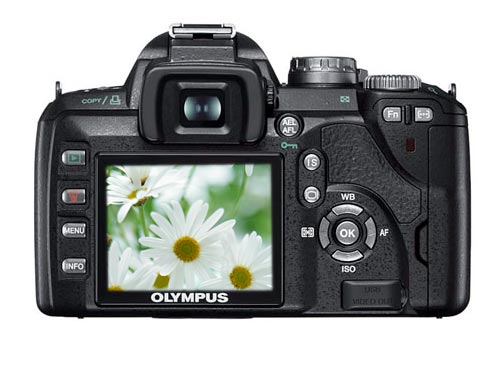 ���ְ�˹��OLYMPUS��E-510(�׻���ͼƬ���� ��12�� -ZOL�йش����ߵ�12��
