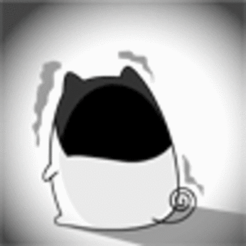 比丘猫可爱表情图片