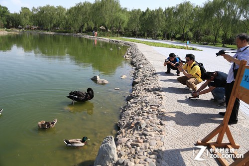与动物亲密接触 佳能SX50 HS网友试用_佳能 