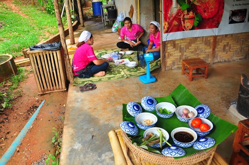 尝热带水果\/勇骑泰国大象_苹果 iPhone 5(16G