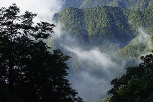 索尼全画幅微单新品 α7R官方样张赏_索尼 A7