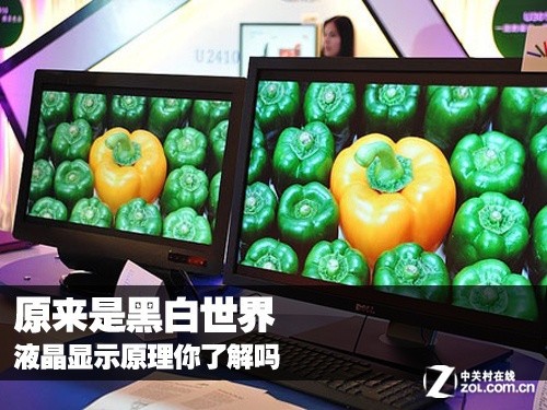 原来是黑白世界 液晶显示原理你了解吗