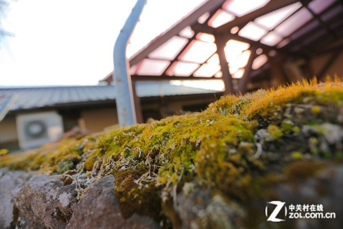 ������Ȫ֮�ã�����6D�����ձ����ݵ� 