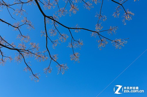 ������Ȫ֮�ã�����6D�����ձ����ݵ� 