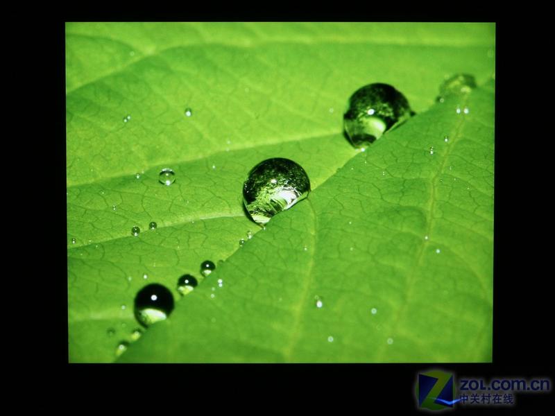LGL1960TRͼƬ���� ��37�� -ZOL�йش����ߵ�37��