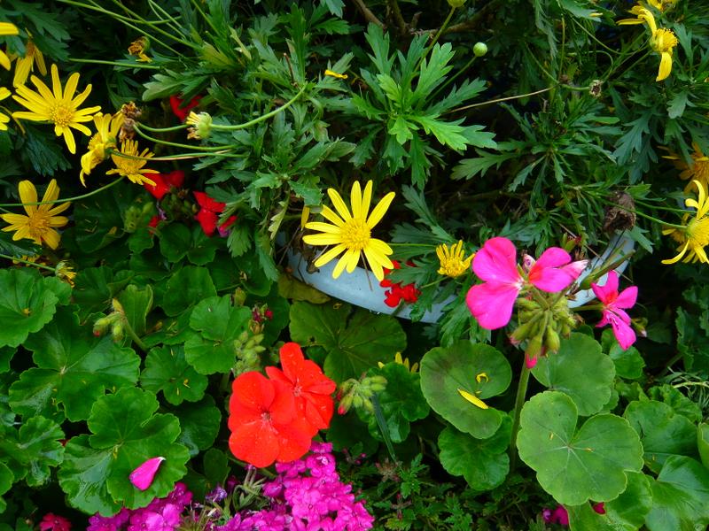 3�������ѧ���� ���¹�ǿ�ƬFX55����ͼƬ����,ͼ7-ZOL�йش����ߵ�7��
