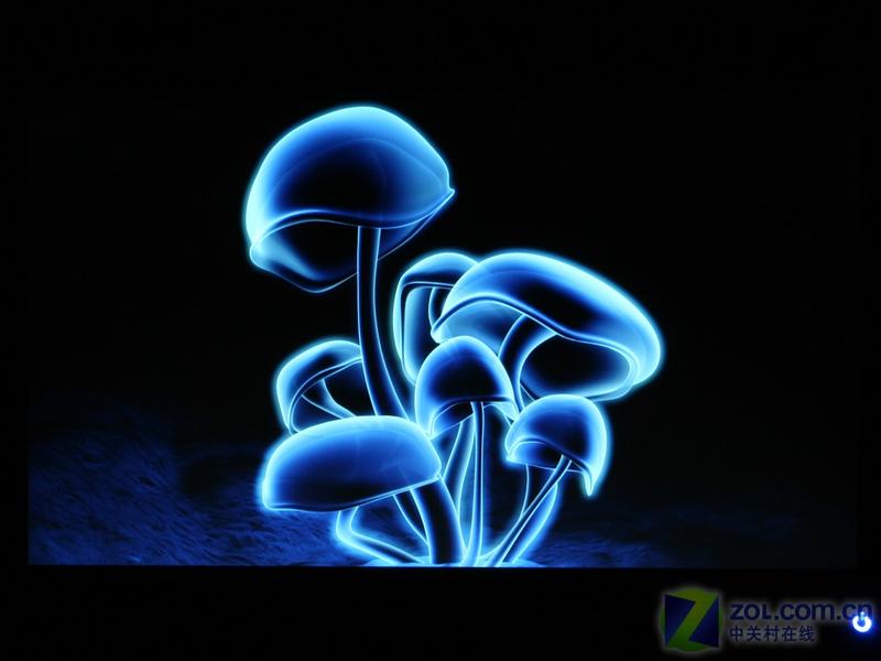 ����633AͼƬ���� ��37�� -ZOL�йش����ߵ�37��