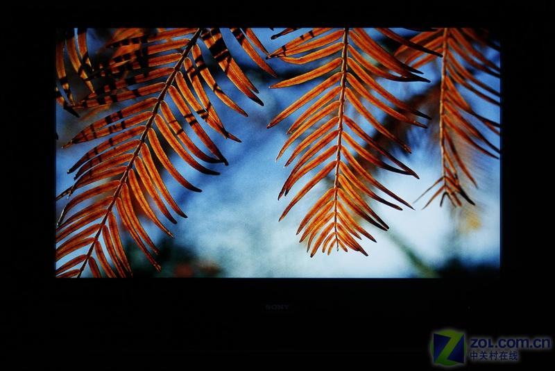 DVD�Ұ� Sony�������ⲥ�Ż�����ʵ��ͼƬ����,ͼ4-ZOL�йش����ߵ�4��