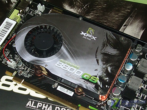 XFXѶ��8800GS�ڽ��(PV-T88S-FDD)ͼƬ���� ��5�� -ZOL�йش����ߵ�5��