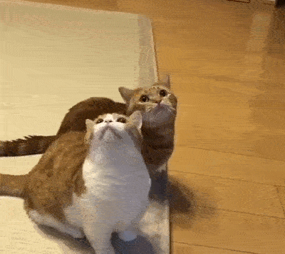 推荐图集 自动播放 原图下载 29/73登录