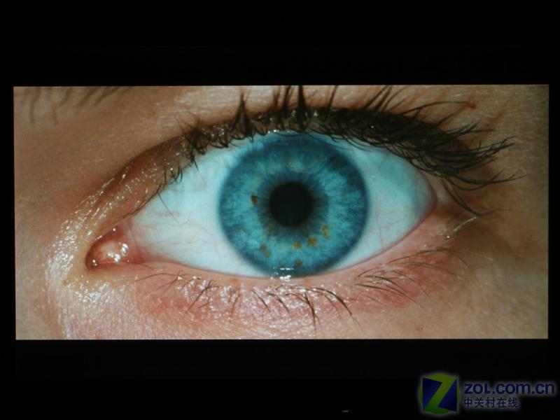 �����֣�Philips��220SW8+ͼƬ���� ��16�� -ZOL�йش����ߵ�16��