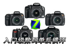 �������ۻ���Ϊ�� ����������뵥������ͼƬ����,ͼ11-ZOL�йش����ߵ�11��