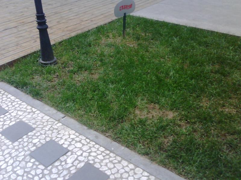 �׿�CMMB�ƶ�����WM���� ����ET880�ײ�ͼƬ����,ͼ72-ZOL�йش����ߵ�72��