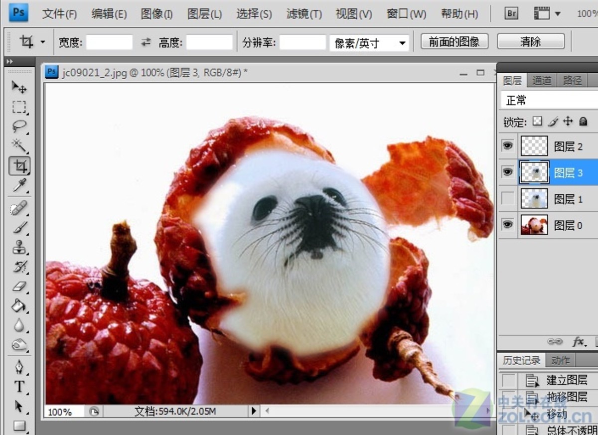 【高清图】photoshop大搞怪:合成可爱海豹型荔枝图4建筑设计珠海和深圳图片