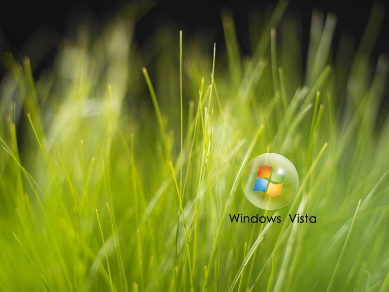Windows Vista �����������ֽ����ͼƬ����,ͼ1-ZOL�йش����ߵ�1��