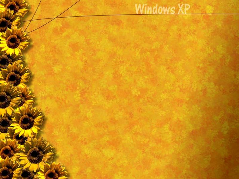 Windows XP���������������ֽ���Ͷ�ͼƬ����,ͼ5-ZOL�йش����ߵ�5��