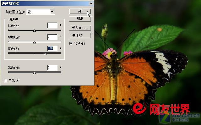 ��һ���ĸо� ��ͨ��ƬҲ��LOMO���ͼƬ����,ͼ1-ZOL�йش����ߵ�1��