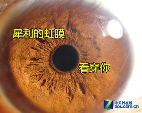 ����ǧ����� ���＼��������ԭ�� 