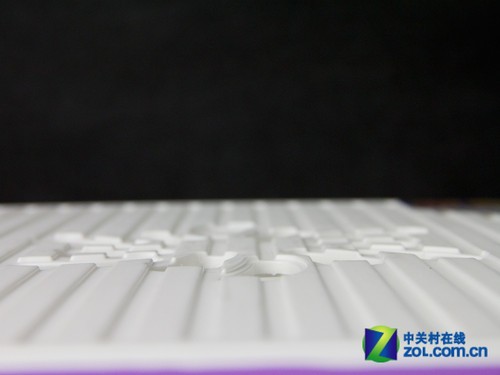 赛鲸