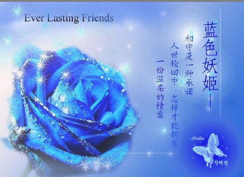 不谢的“蓝色妖姬”,相守一生的承诺