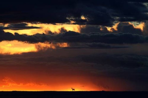 Ұ�Է��� �������á���EOS 7D ���������
