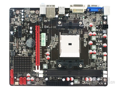 100 combo AMD vip cho AE nào làm nét - 5