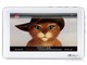 ��ħT17+��4GB��