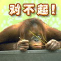 道歉qq表情