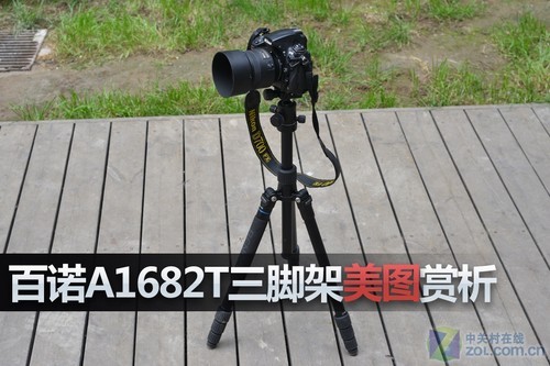 铝合金材质 百诺A1682T三脚架美图赏析