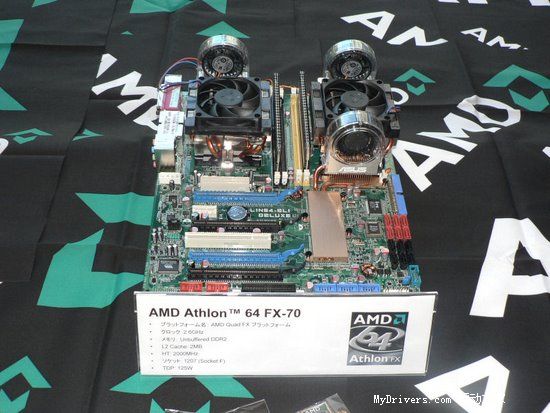 �����ж�ǿ AMD