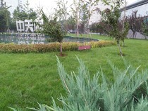 【TCL 950 全网通 样张】TCL 950 全网通手机