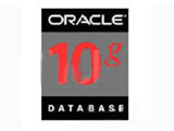 Oracle 10g (��ҵ�� 25user)
