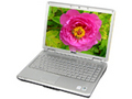 戴尔 Inspiron 1420(Q511102N)