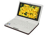 ����IdeaPad S9-HSI���˿�죩
