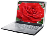 戴尔XPS M1530(S510345CN)
