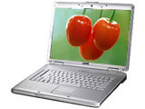 ����Inspiron 1520��R510313��