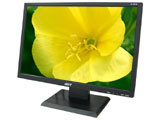 Acer AL1981W