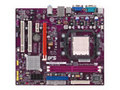 ��ӢGeForce6100PM-M2(V3.0) ����