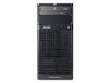 HP ProLiant ML110 G6(506668-AA1)