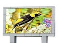 ����P12����ȫ�ʣ�ֱ�壩 LED��ʾ��