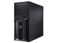 ���� PowerEdge T110(Xeon X3430/1GB/250GB)
