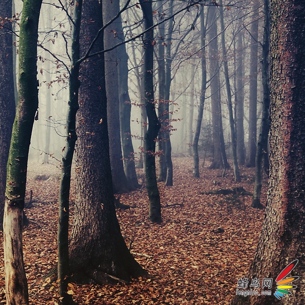 【高清图】 虚实得当 大光圈小景深打造唯美大片图31