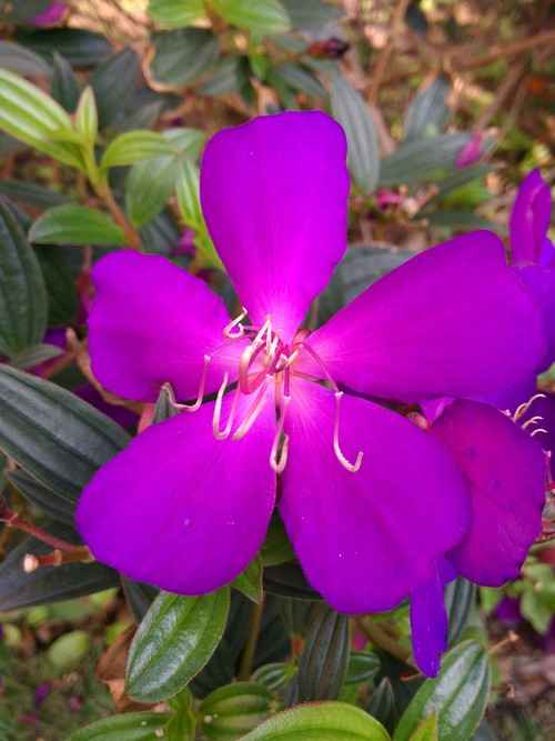 �߸о��� ����˶Padfone Infinity���� 