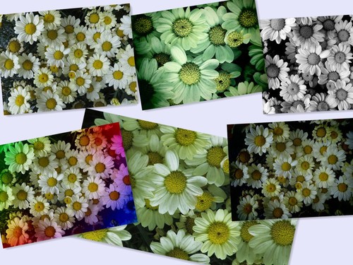 洴Ӱ PowerShot Nٱ 