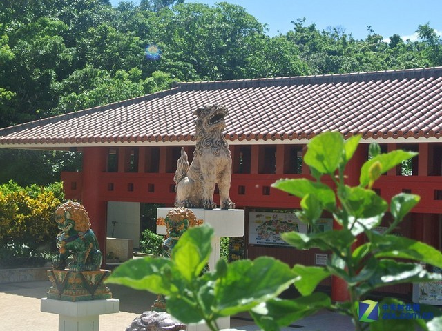 �ڳ����洦�ɼ�ʨ�ӵ����������ǵļ����