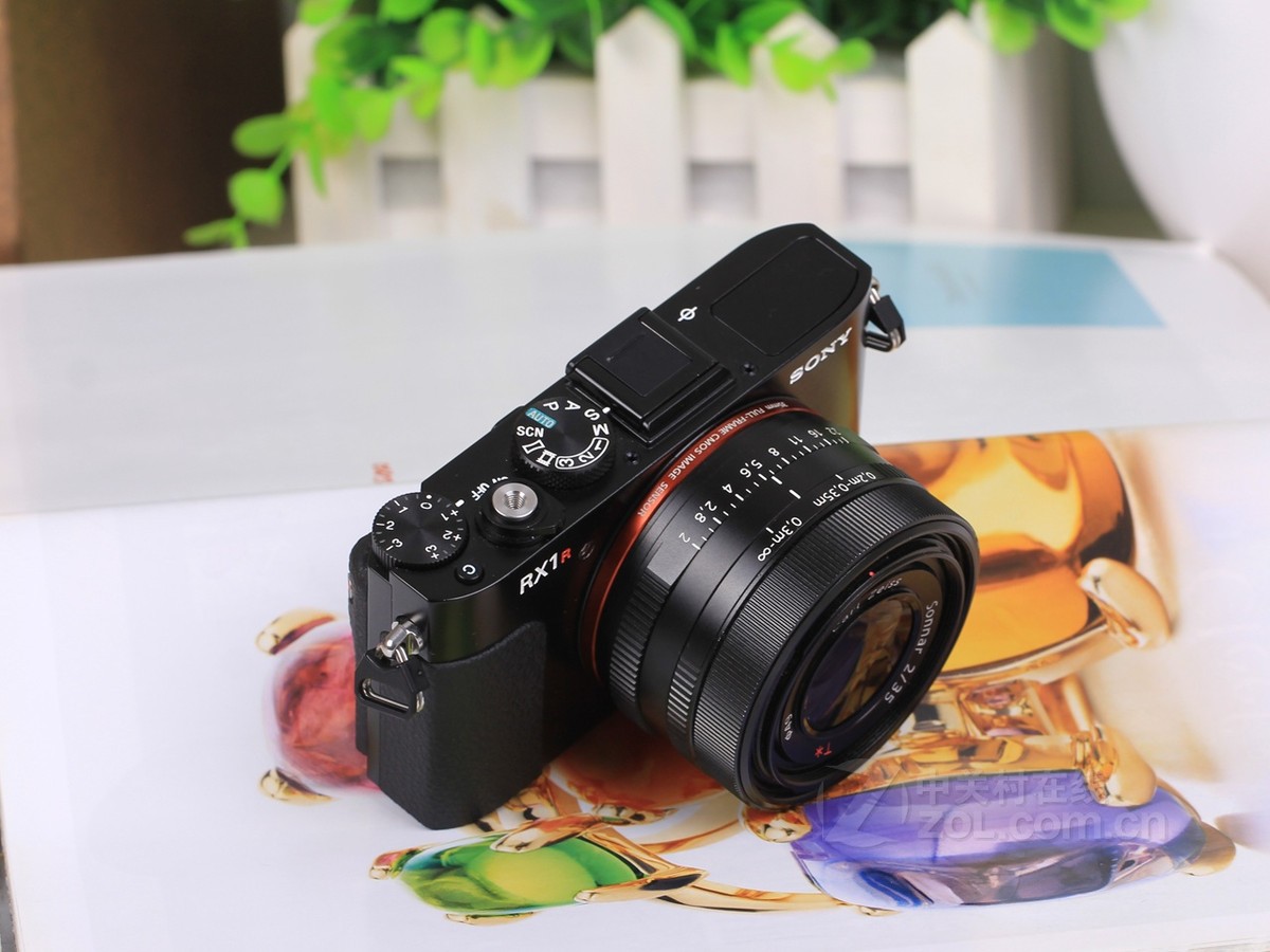【高清图】 索尼(sony)rx1r实拍图 图229