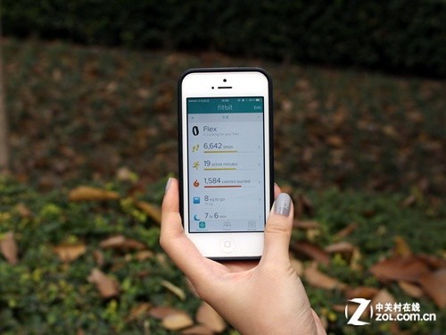 724Сʱ Fitbit Flexֻϸ 