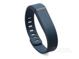 Fitbit Flex
