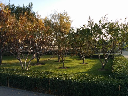 ͬ���ֵܶԾ� Nexus 5/LG G2�Ա����� 